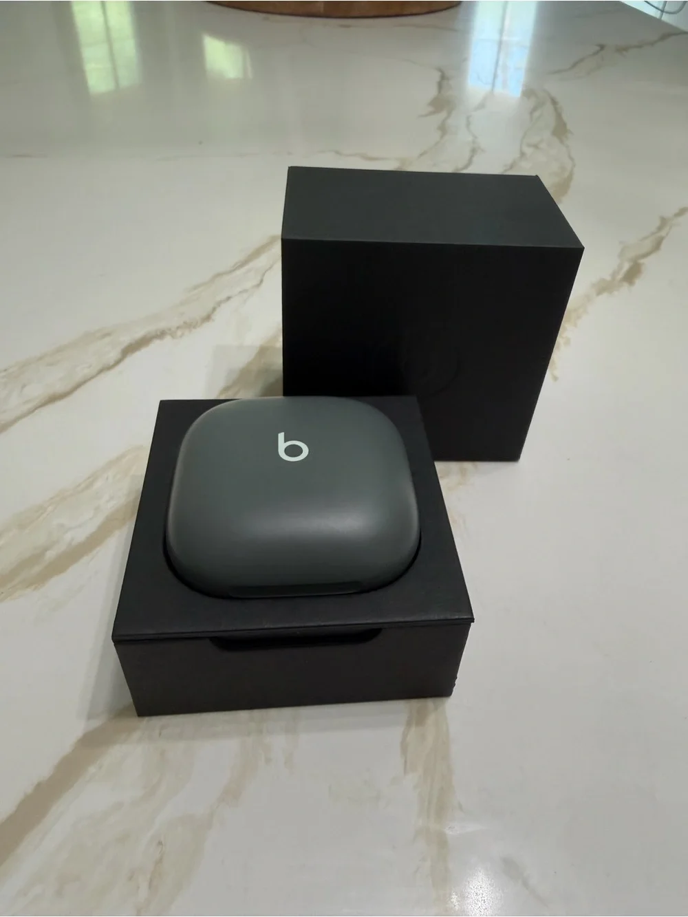 Beats Fit Pro Wireless Earbuds